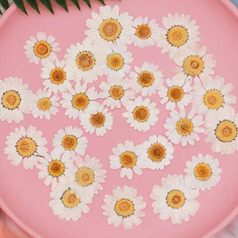 100Pcs Natural White Crystal C - Resin Art Phone Case review and price