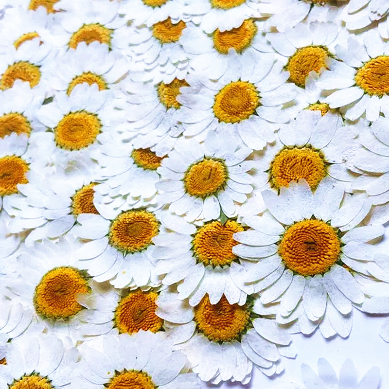 100Pcs Natural White Crystal C - Resin Art Phone Case review and price