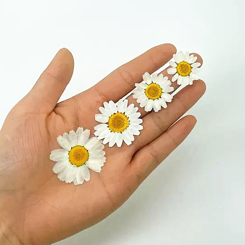 100Pcs Natural White Crystal C - Resin Art Phone Case review and price