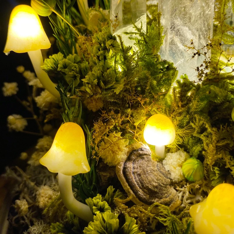 Enchanted Forest Mushroom Nigh - Resin Art On Wood review and price